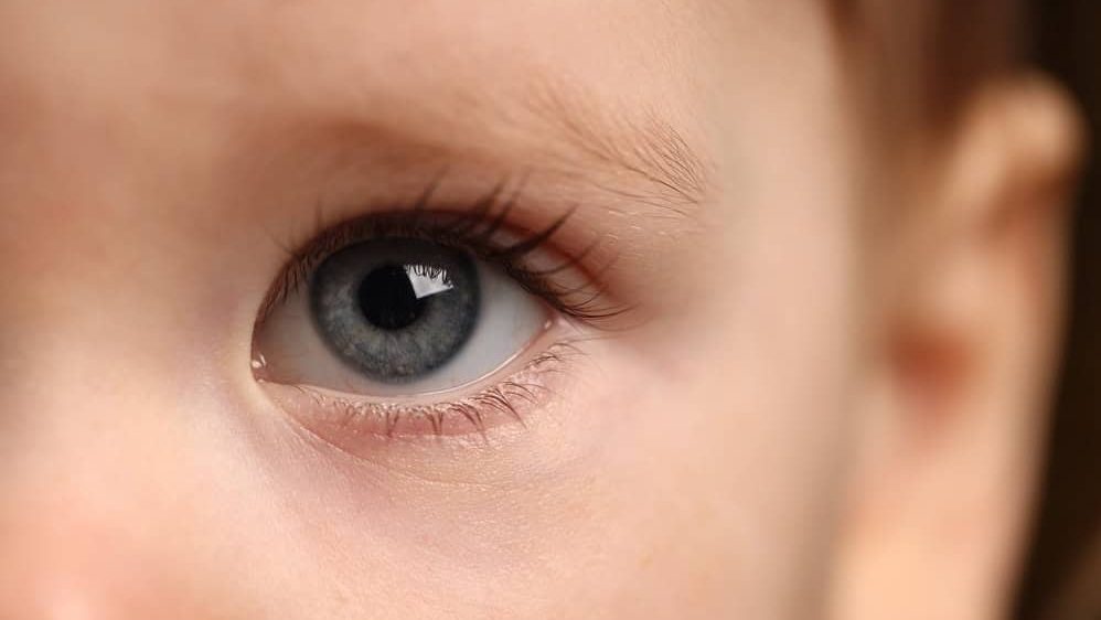 Macro view of cute child with beautiful eyes