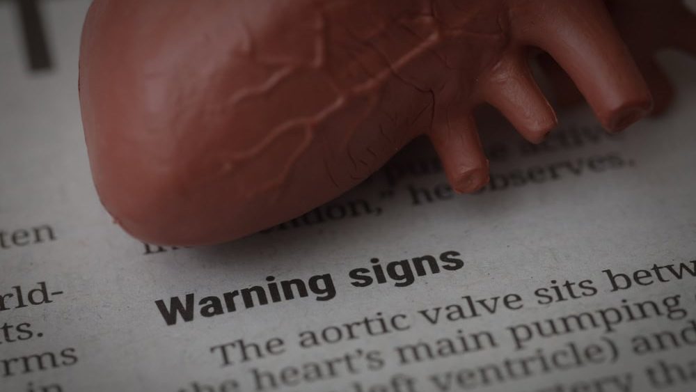Heart Disease Warning Signs Concept with Anatomical Model on Newspaper Article
