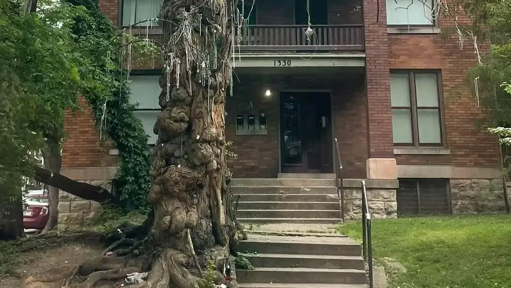 Witches' Tree