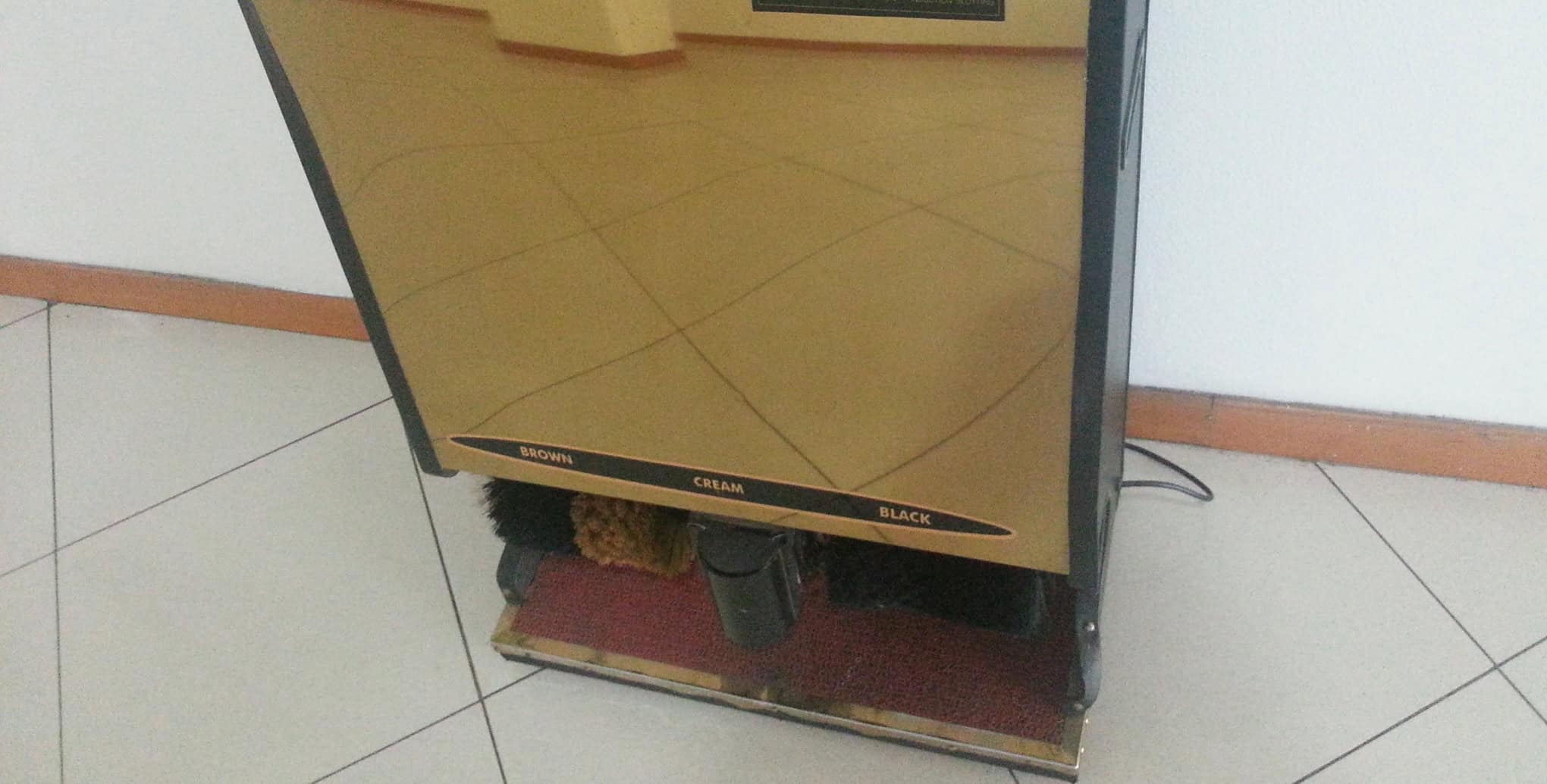 Automatic shoe polisher