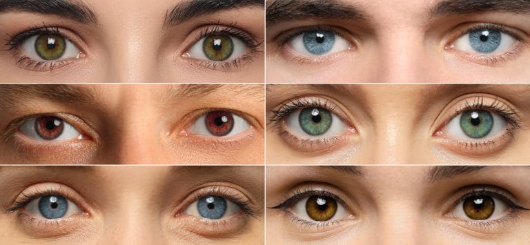 People with eyes of different colors, collage of photos