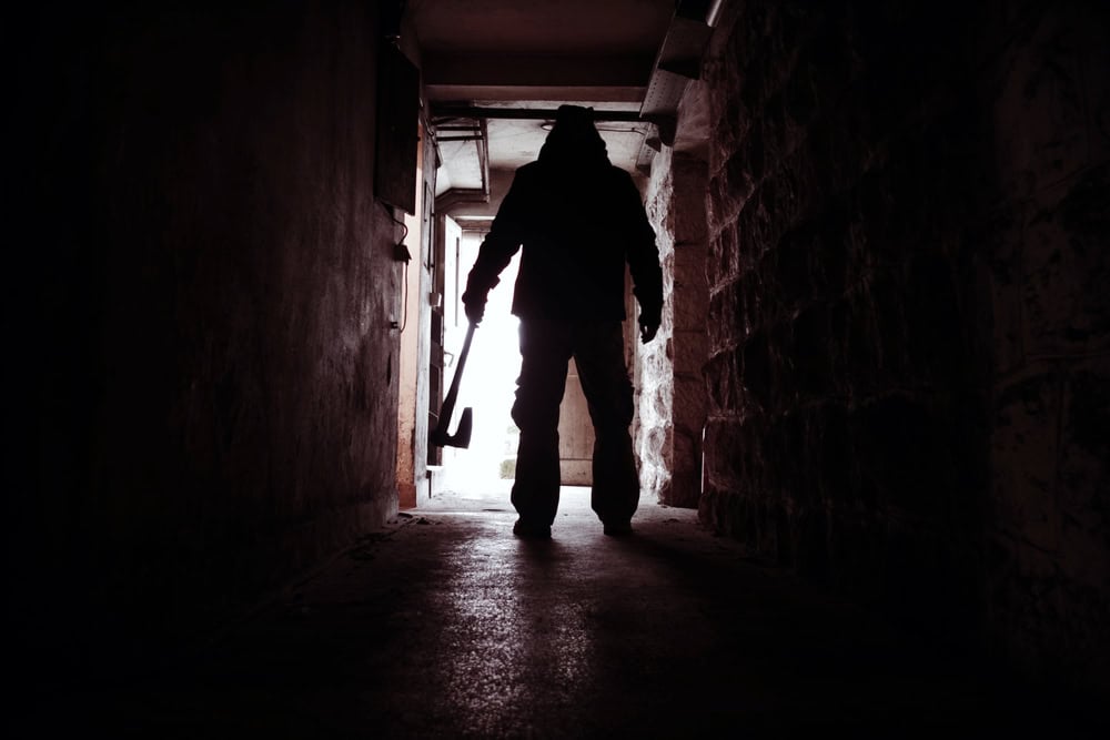 Silhouette of Man holding Axe. Hatchet in Arm in dark Hallway. Scary homicide scenes