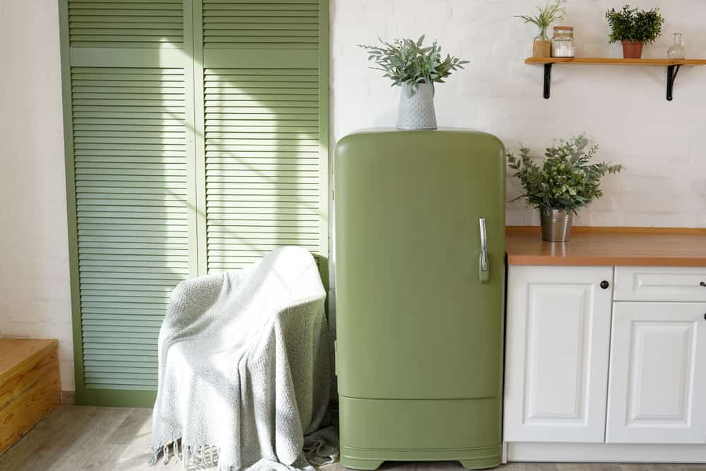 bright green kitchen interior with wooden floor, white furniture, shelves and houseplants in pots