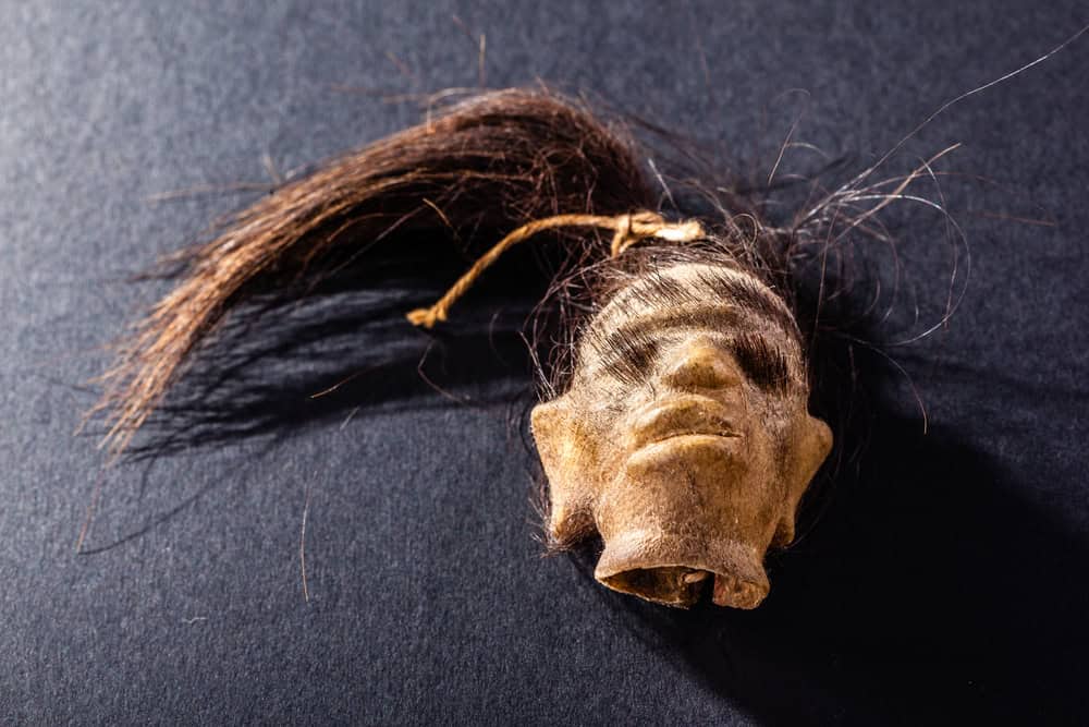 A shrunken monkey head