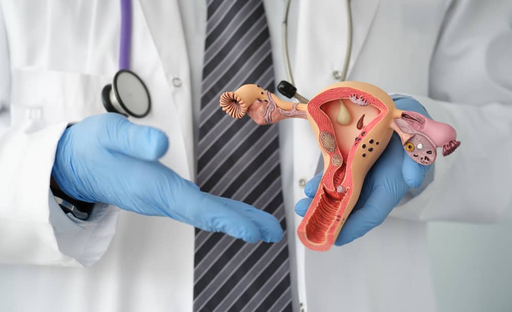 Doctor in rubber gloves holding plastic mock-up of female uterus in clinic closeup