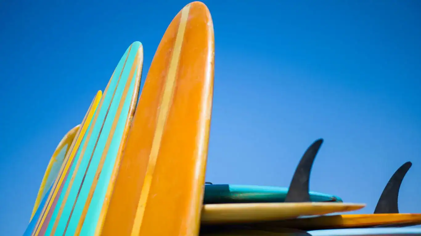 surfing equipment for beginners- surfbaord
