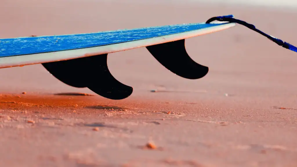 surfboard fins 