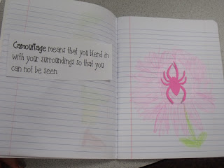 Spiders!