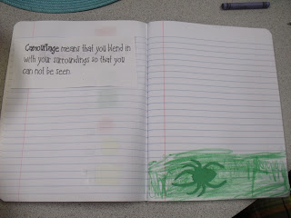 Spiders!