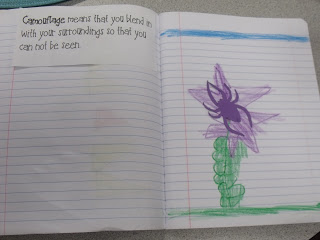 Spiders!