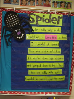 Spiders!