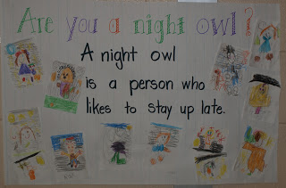 Owls and Veteran's Day