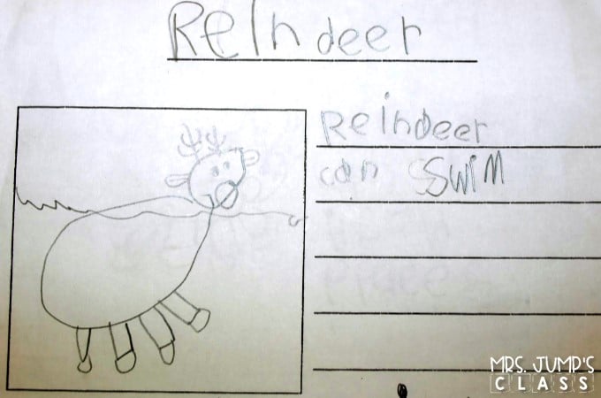 Reindeer Lesson Plans with informational text Free file. Includes crafts, writing, reading and more for your kindergarten lessons or first grade lessons.