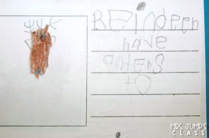 Reindeer Lesson Plans with informational text Free file. Includes crafts, writing, reading and more for your kindergarten lessons or first grade lessons.