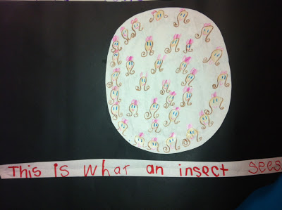 Compound Eyes