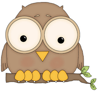 Owl book pictures and a cool video!