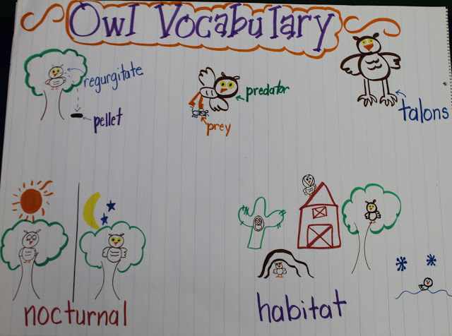 It's Owl Right! Owl fun and Freebie!