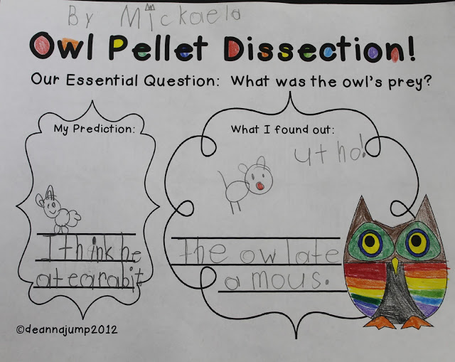 It's Owl Right! Owl fun and Freebie!