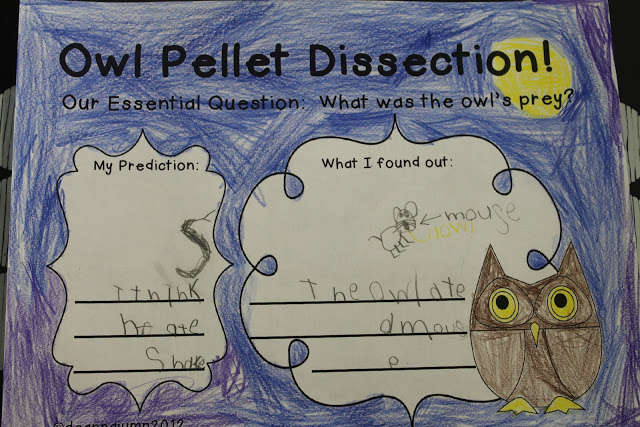 It's Owl Right! Owl fun and Freebie!