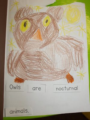 Owl book pictures and a cool video!