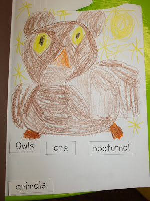 Owl book pictures and a cool video!