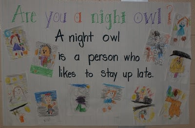 Owl book pictures and a cool video!