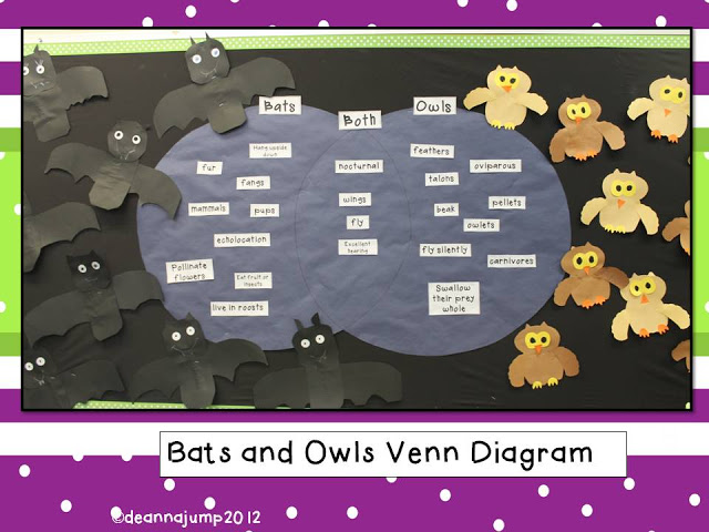 Bats and Owls Venn Diagram