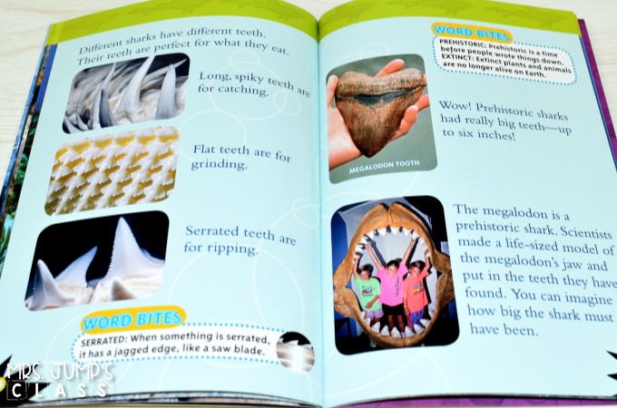 Do you want a Shark Week FREE FILE? FREEBIES Shark style is here! Compare informational text with narrative text in this blog post. Free ideas & activities