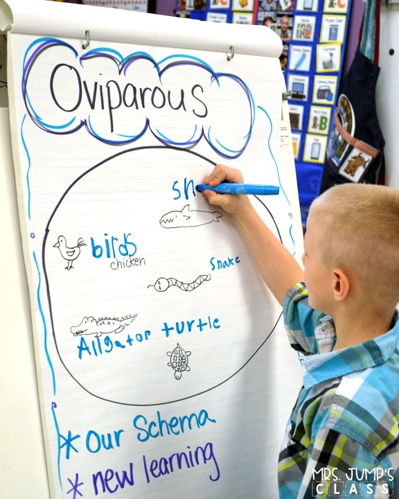 Engaging reading activities for kindergarten and first grade! See how we improve reading comprehension through various reading comprehension strategies. FREE sample file too!