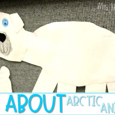 Arctic Animals: Polar Bears and Walruses