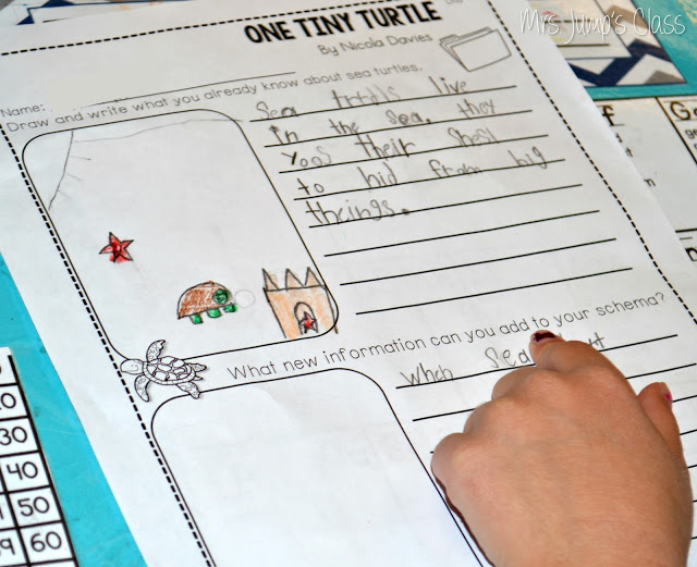 One Tiny Turtle Lesson Plans