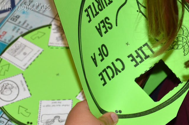 One Tiny Turtle Lesson Plans