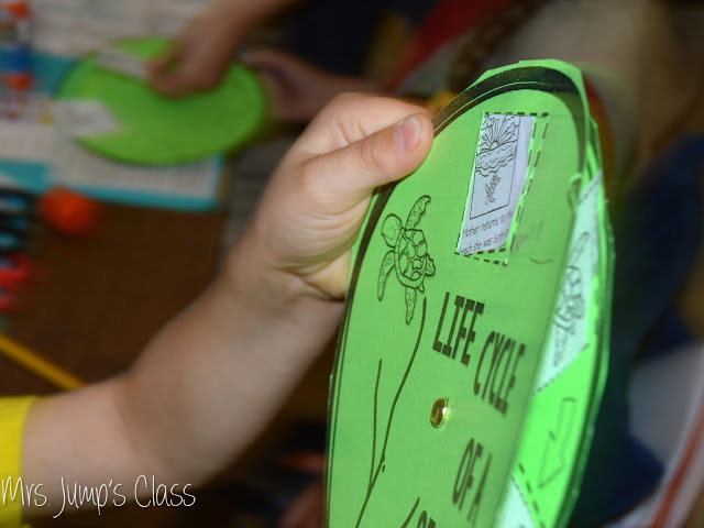 One Tiny Turtle Lesson Plans
