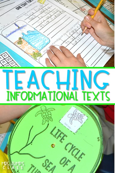Teaching Informational Texts with One Tiny Turtle in kindergarten and first grade. Students learn to use their schema to learn about the life cycle of a turtle. Students also write informational nonfiction texts.
