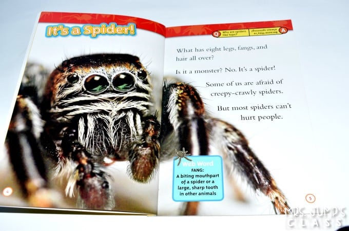 Spider informational text activities for kindergarten and first grade. This is a week long unit of study using a nonfiction book to learn about text features such as the table of contents, labels, captions, and glossary. Your students will love this fun set of lesson plans for your close read!