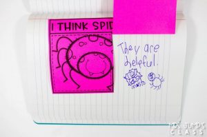 Spider informational text activities for kindergarten and first grade. This is a week long unit of study using a nonfiction book to learn about text features such as the table of contents, labels, captions, and glossary. Your students will love this fun set of lesson plans for your close read!