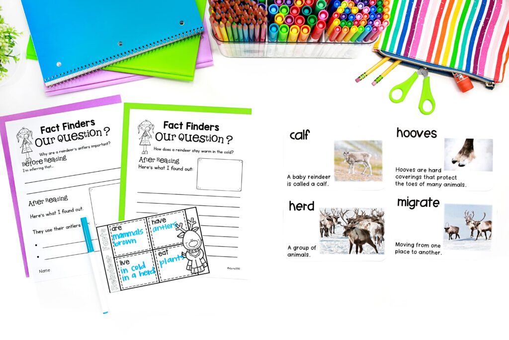 Reindeer vocabulary cards