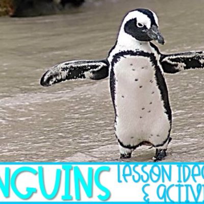 Penguin Activities and Videos for Kindergarten and First Grade