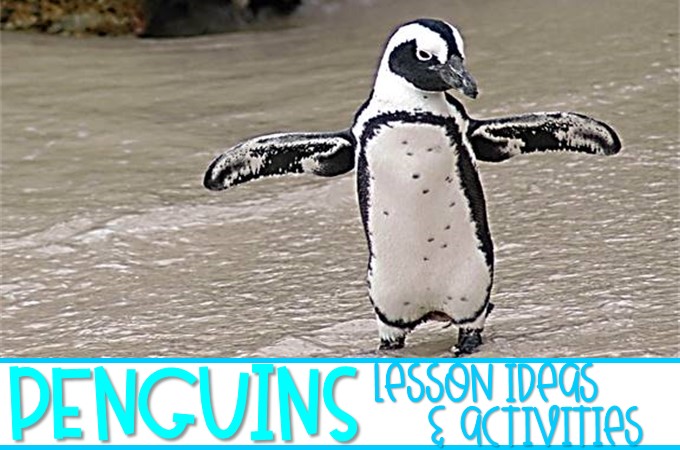 Engaging Penguin activities and videos. Students will enjoy reading and writing about penguins, doing a science experiment, and making a craft.