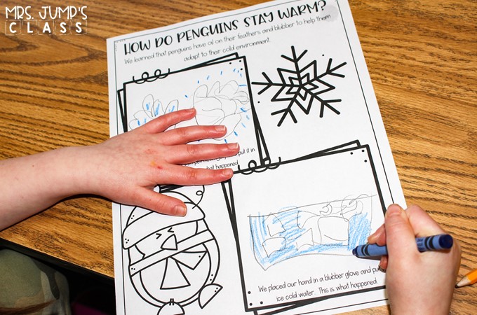Engaging Penguin activities and videos. Students will enjoy reading and writing about penguins, doing a science experiment, and making a craft.