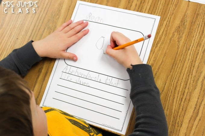 Fun President's Day activities! Nonfiction reading comprehension lesson plans for K-2. Students learn about Abraham Lincoln and George Washington.