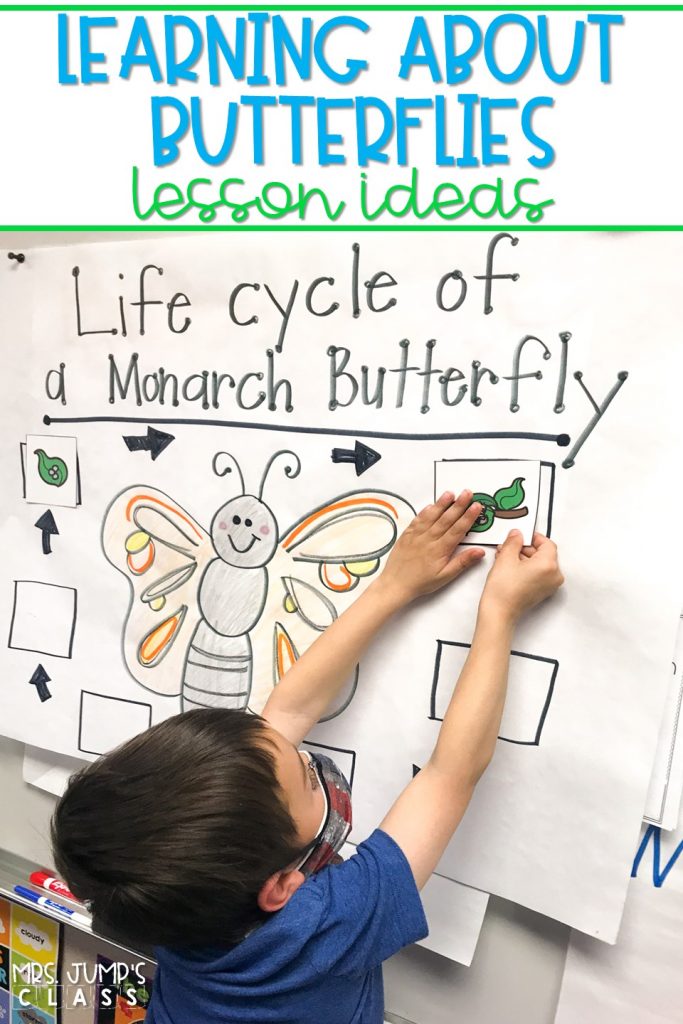 Butterfly lesson plans. Students respond to literature using the story, The Very Impatient Caterpillar and also learn about the butterfly life cycle and migration using nonfiction text.