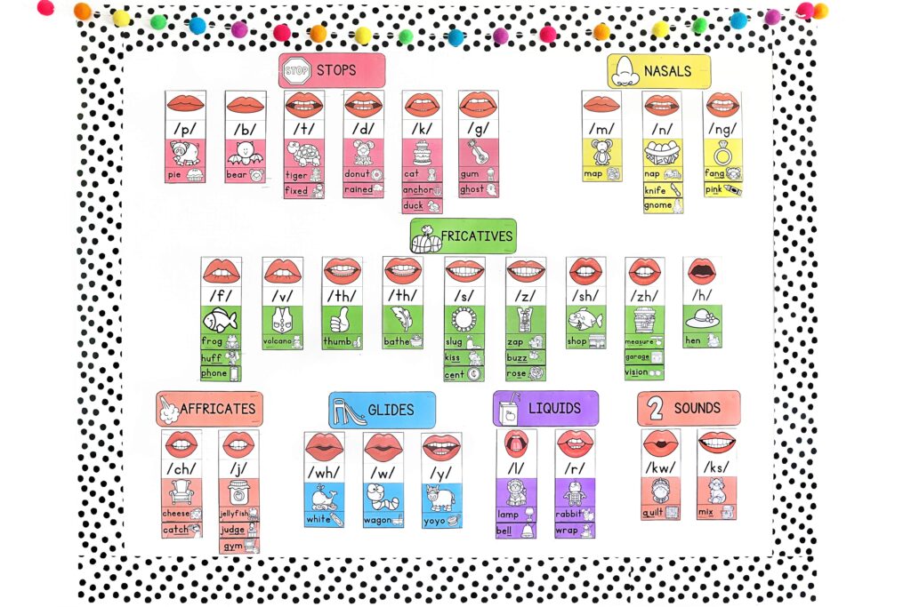 A colorful sound wall with consonant phonemes