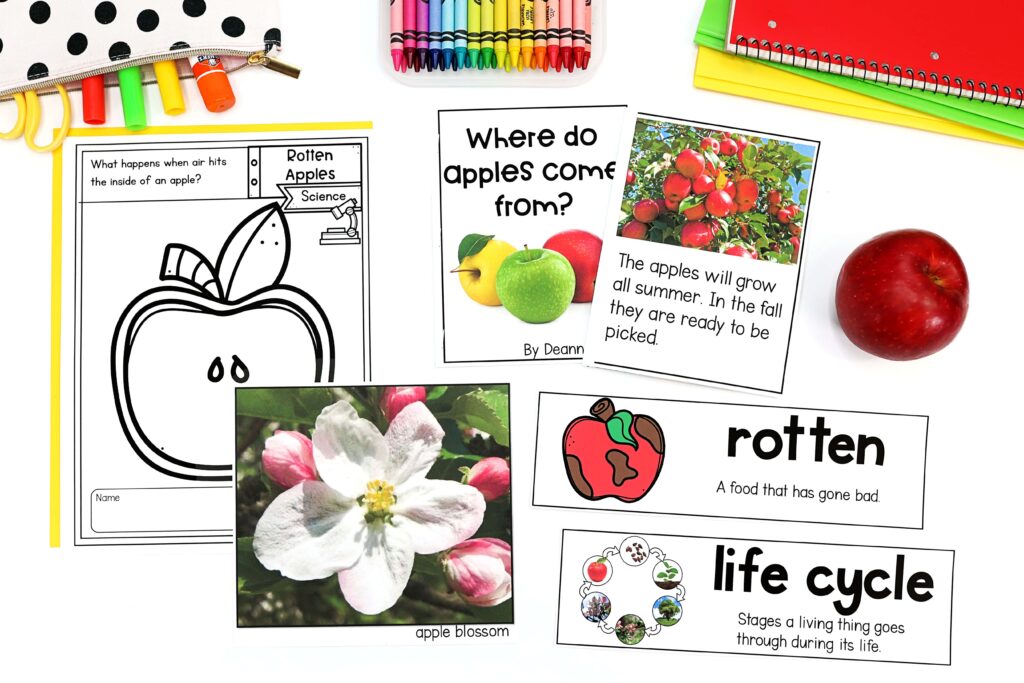 Nonfiction text and vocabulary printables for an apple unit