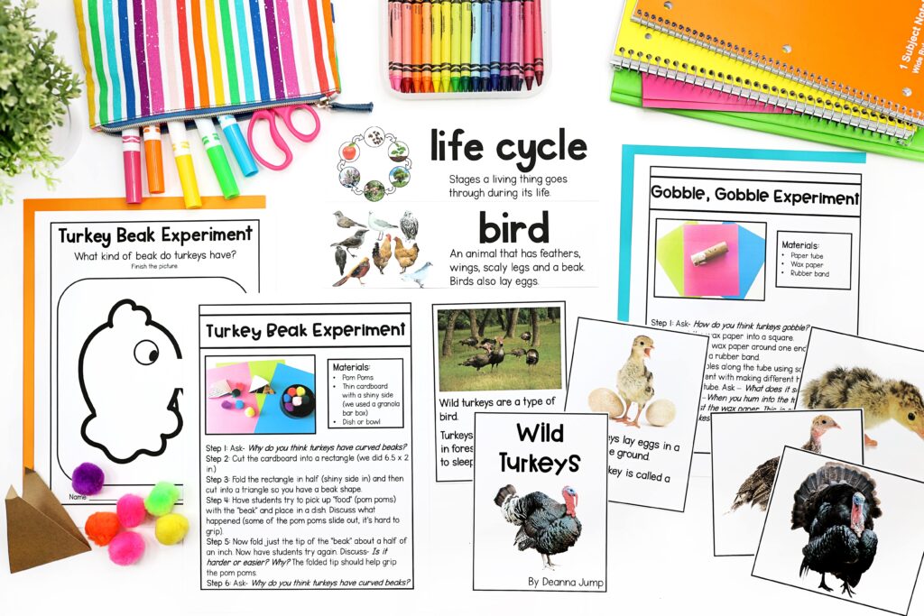 Vocabulary flashcards and turkey experiment printables