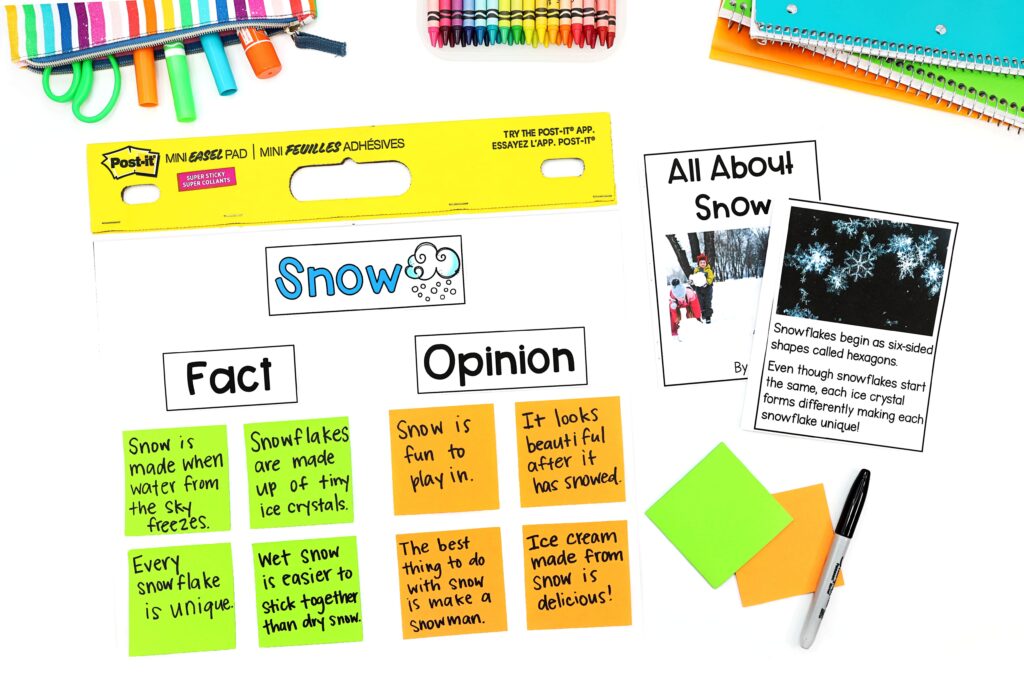 Snow Fact and Opinion anchor chart