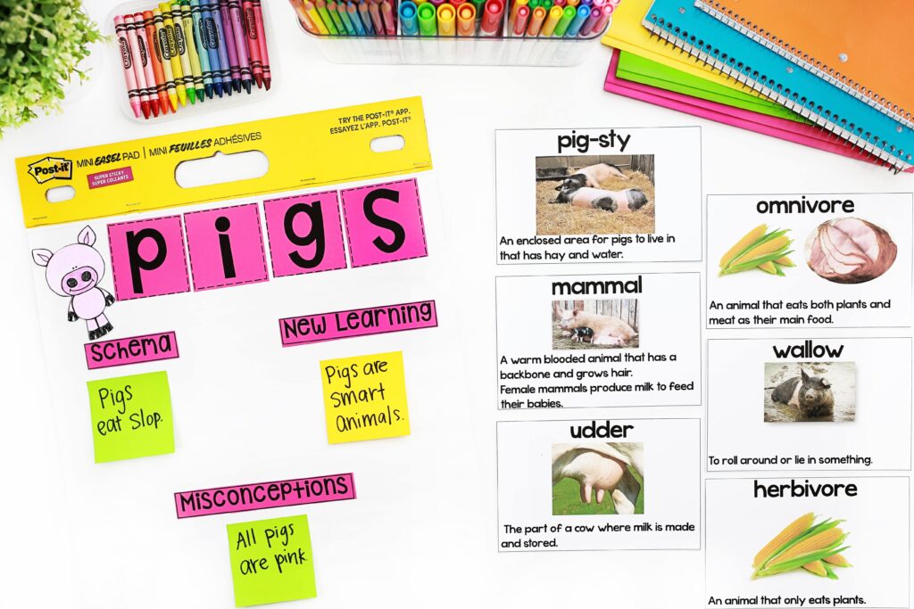Pigs anchor chart and vocabulary chart