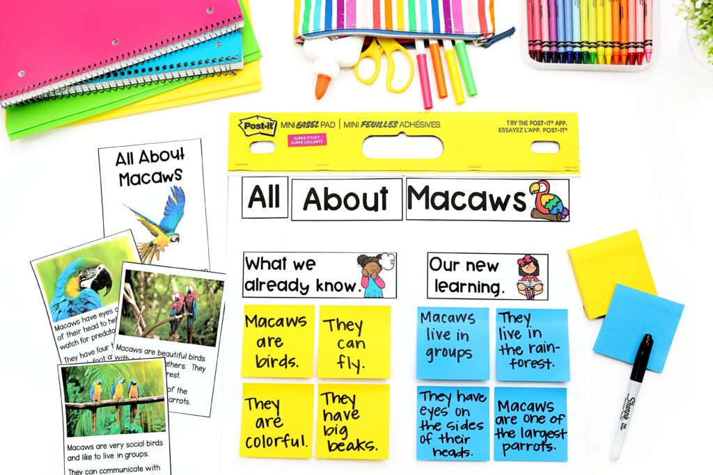All About Macaws anchor chart