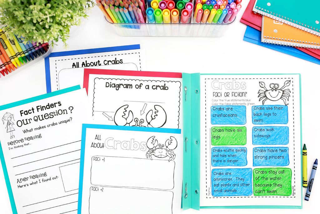 A fact and fiction activity and other worksheets