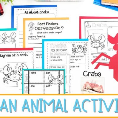 Ocean Animal Activities for Kindergarten